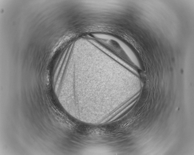 X0000086980731200705141715