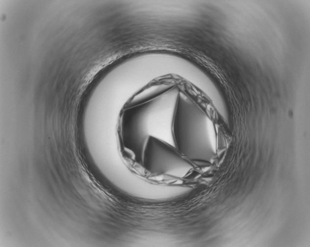 X0000086980732200705141715