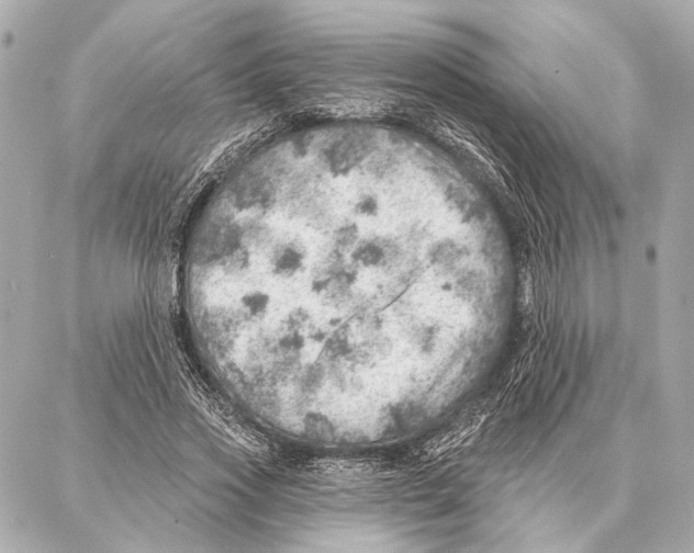 X0000086980733200705141715