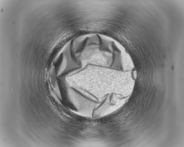 X0000086980735200705141715