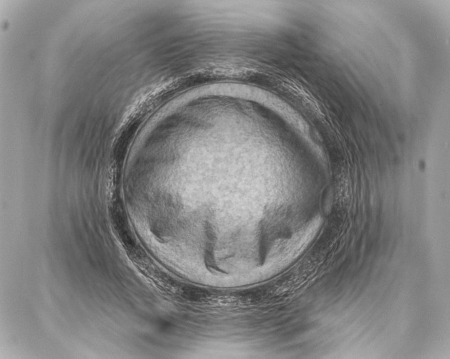 X0000086980736200705141715