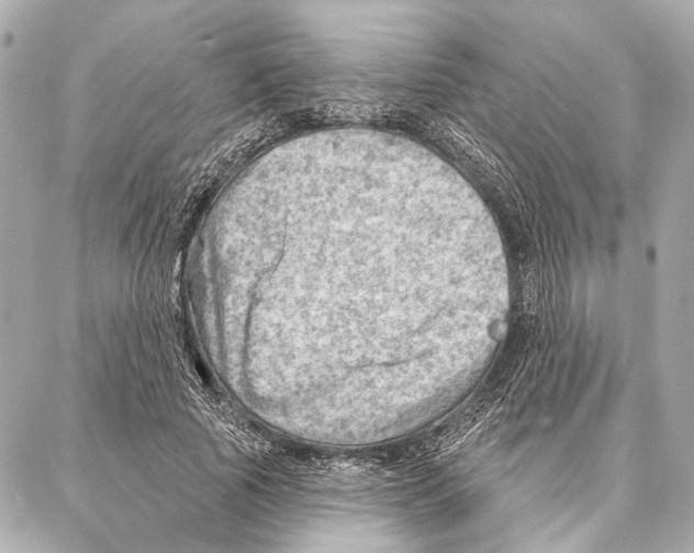 X0000086980737200705141715