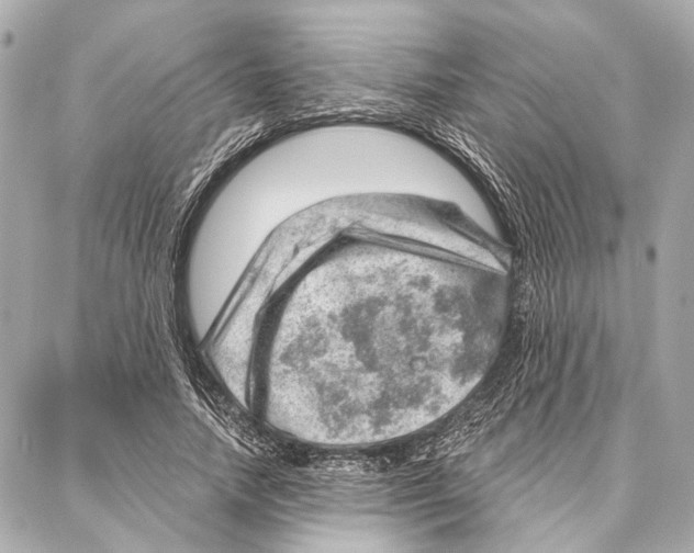 X0000086980738200705141715