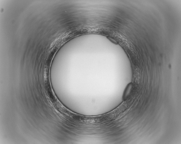 X0000086980740200705141715