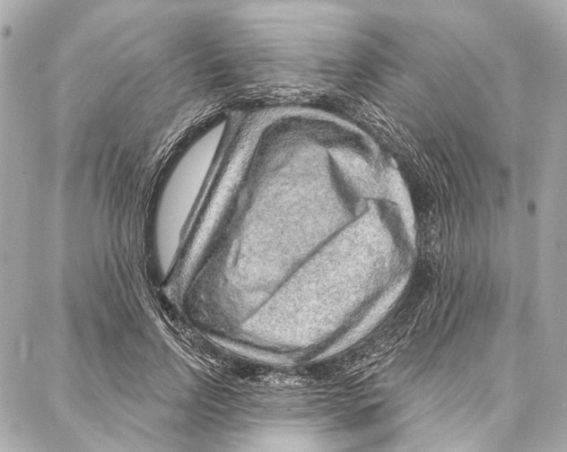 X0000086980742200705141715