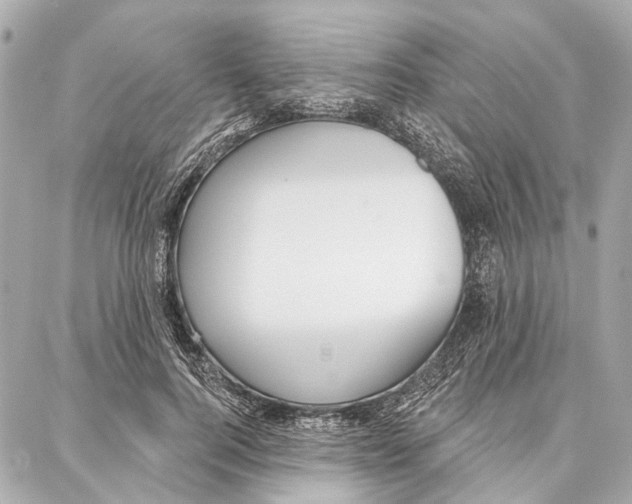 X0000086980744200705141715