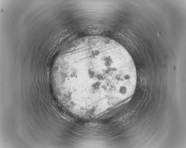 X0000086980745200705141715