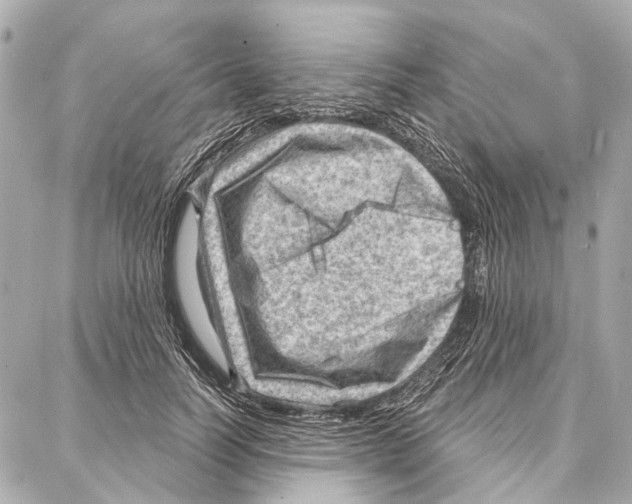 X0000086980746200705141715