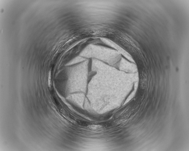 X0000086980748200705141715