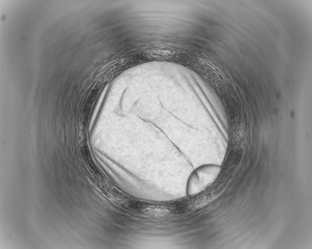 X0000086980749200705141715