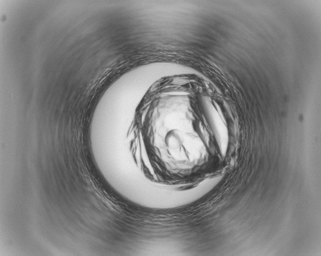 X0000086980750200705141715