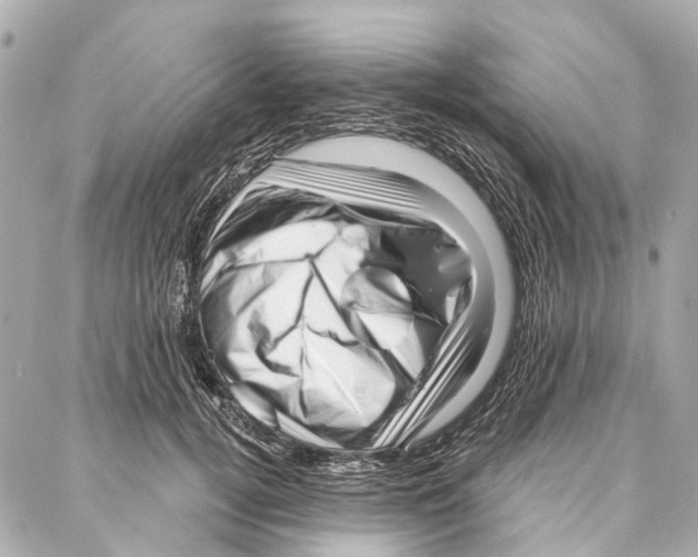 X0000086980752200705141715