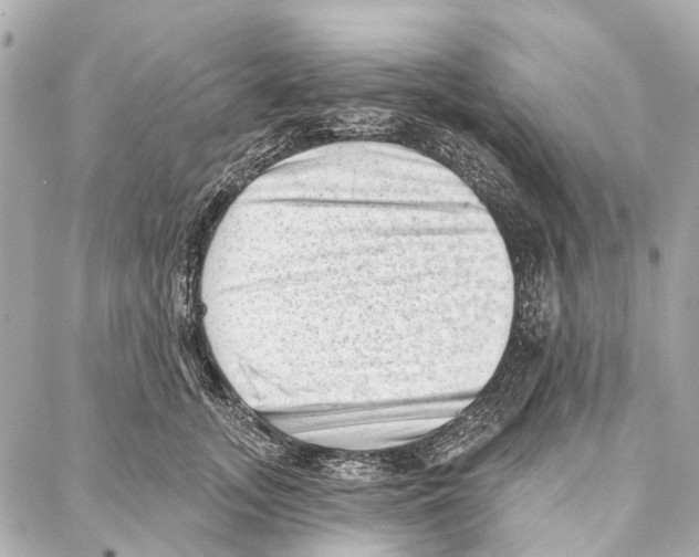 X0000086980755200705141715