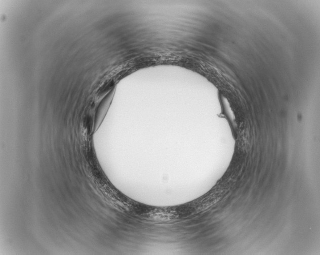 X0000086980756200705141715