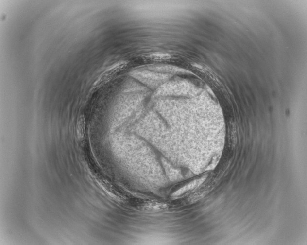 X0000086980760200705141715