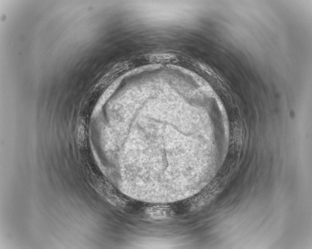 X0000086980761200705141716