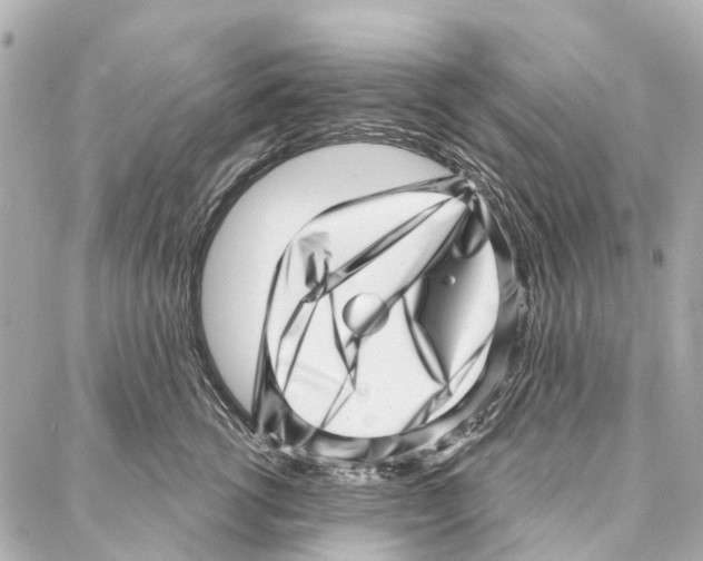 X0000086980762200705141716