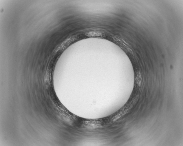 X0000086980763200705141716