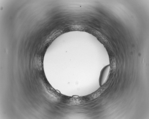 X0000086980764200705141716