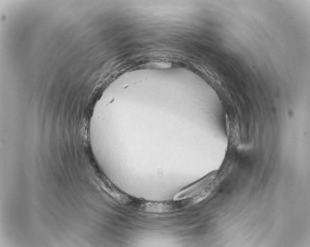 X0000086980766200705141716