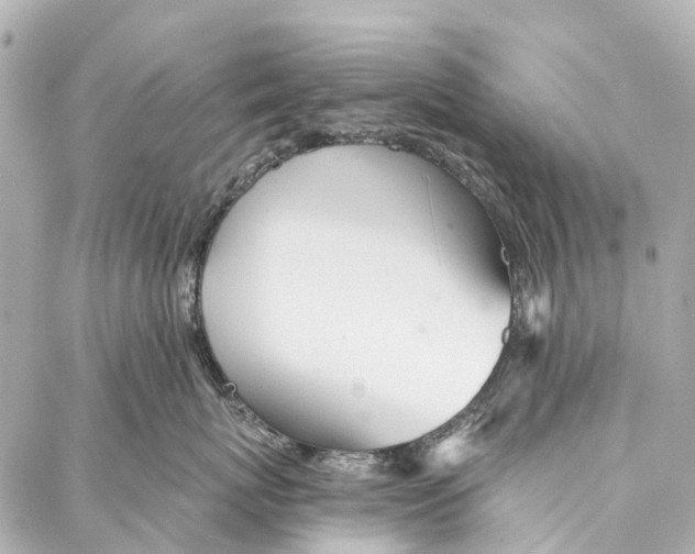 X0000086980767200705141716