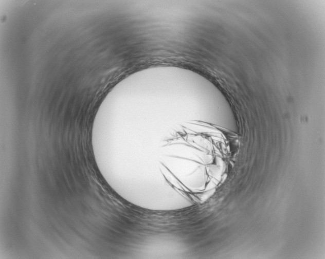 X0000086980768200705141716