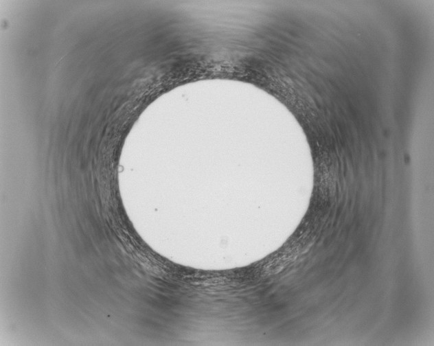 X0000086980769200705141715