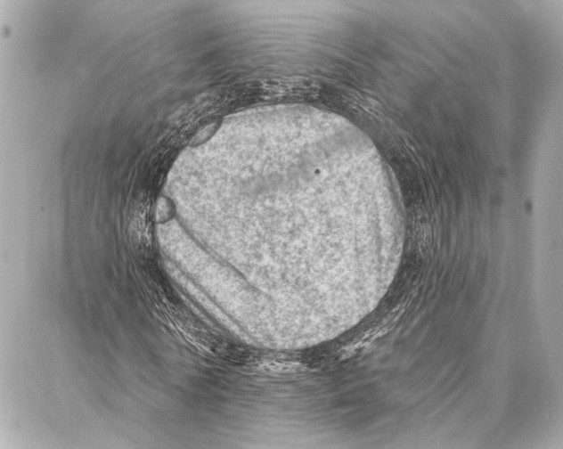 X0000086980770200705141715