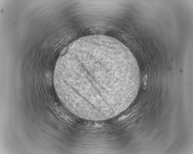 X0000086980772200705141715