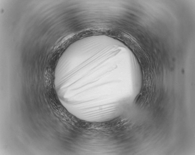 X0000086980773200705141715