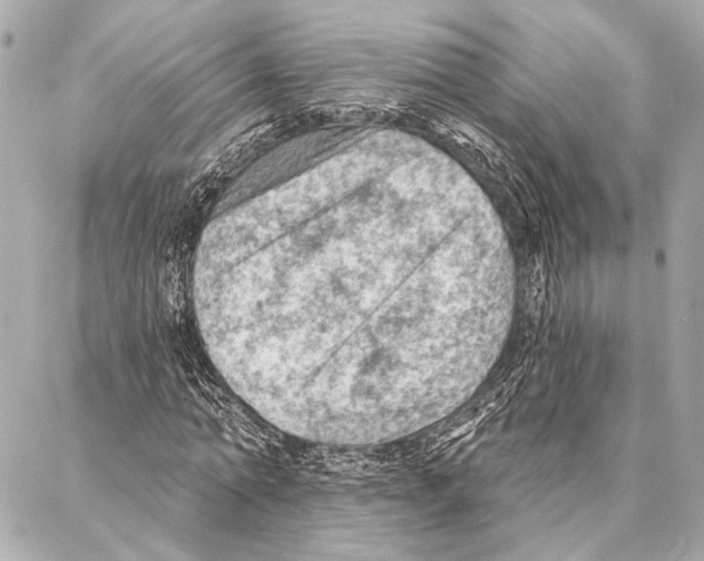 X0000086980774200705141715