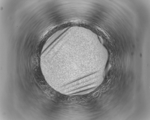 X0000086980776200705141715