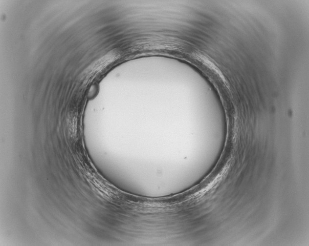 X0000086980777200705141715