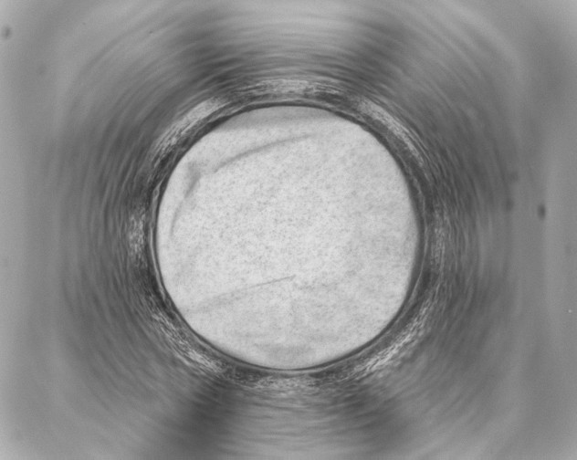 X0000086980778200705141715