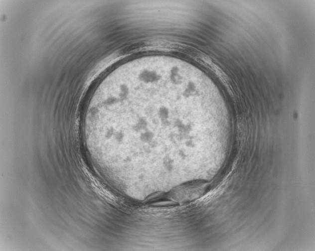 X0000086980779200705141715