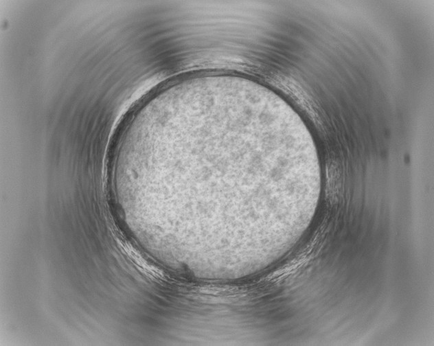 X0000086980780200705141715