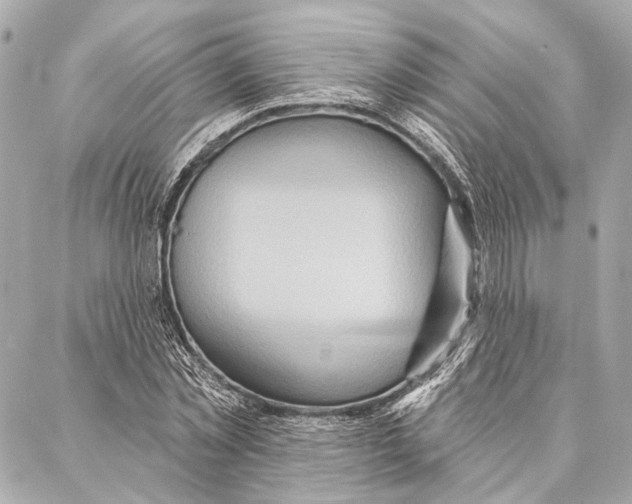 X0000086980781200705141715