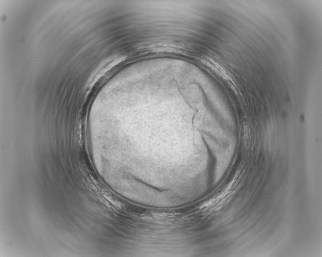 X0000086980782200705141715