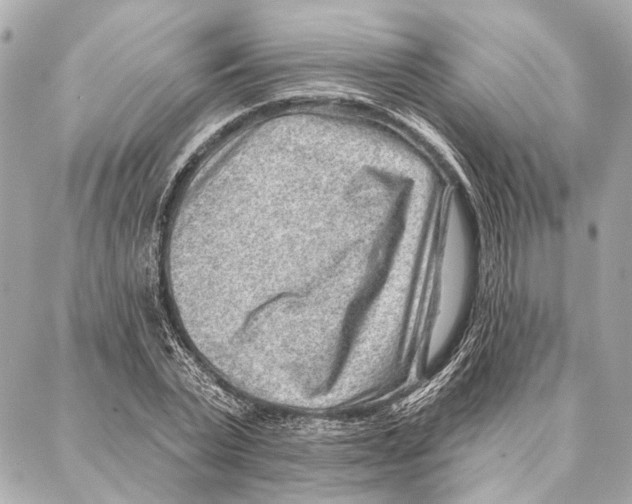 X0000086980783200705141715