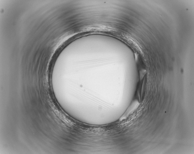 X0000086980784200705141715