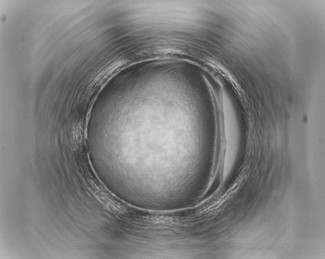 X0000086980785200705141715