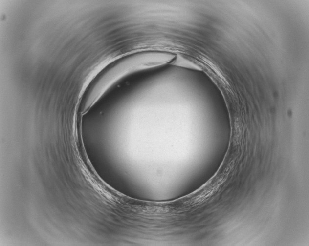 X0000086980788200705141715