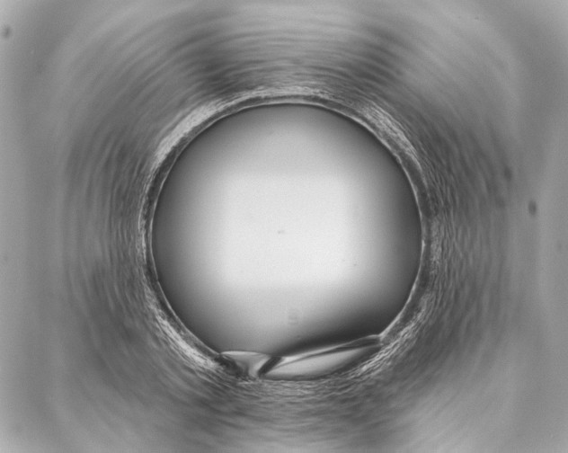 X0000086980789200705141715