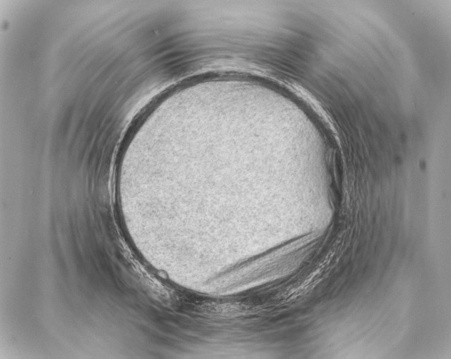 X0000086980791200705141714