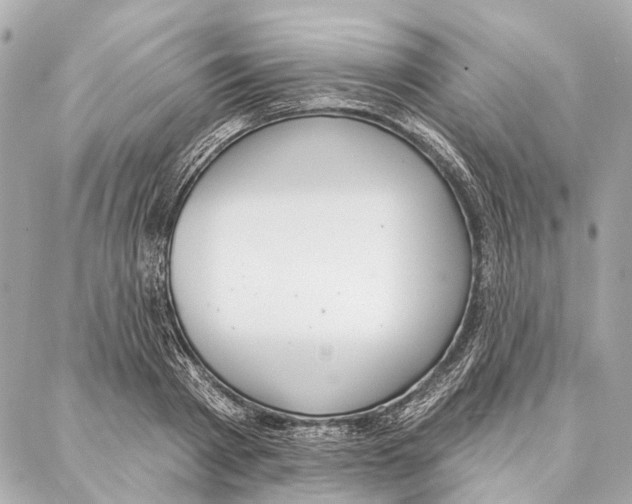 X0000086980793200705141714