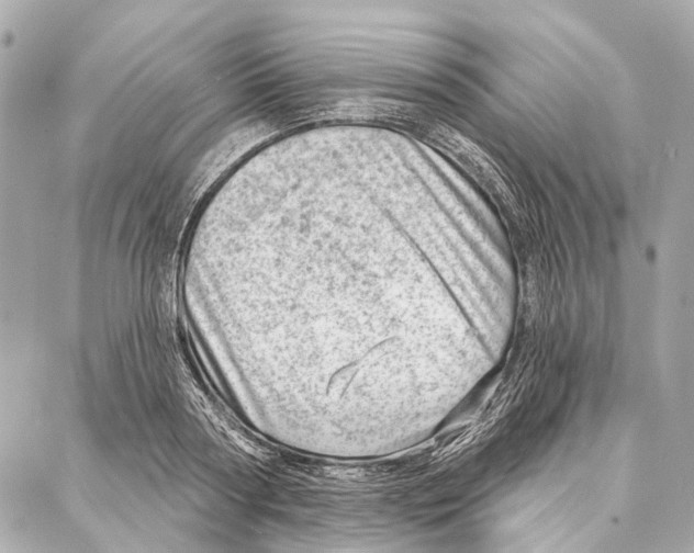 X0000086980794200705141714