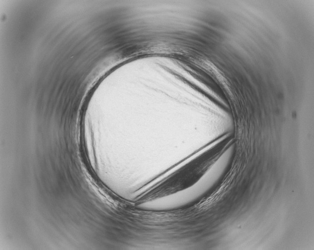 X0000086980795200705141714