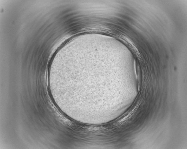 X0000086980796200705141714