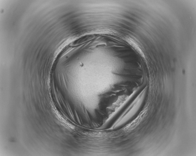 X0000086980797200705141714