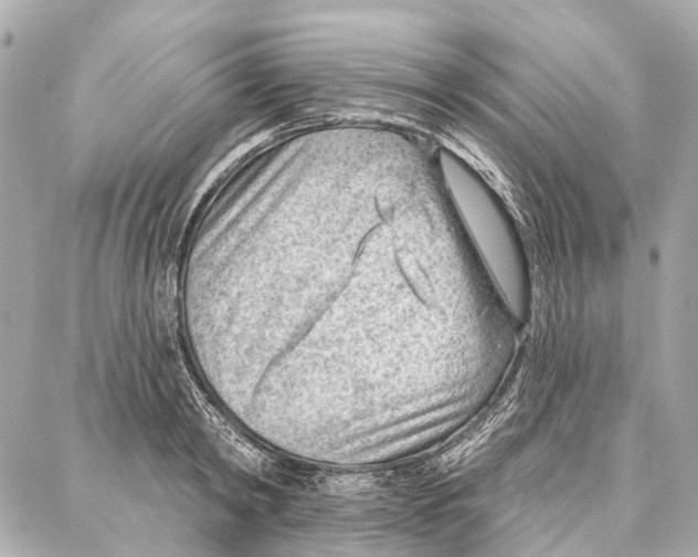 X0000086980798200705141714